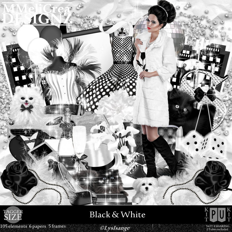 (image for) CLASSIC - PU - Black And White